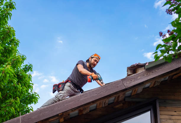 Best Wood Shake Roofing  in Friendswood, TX